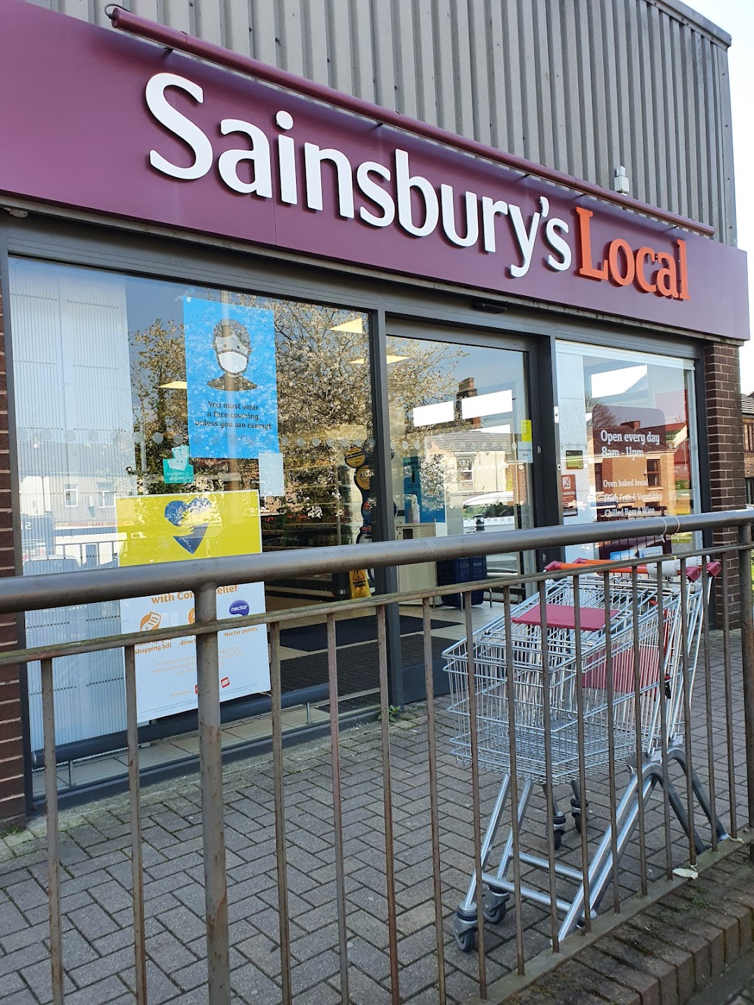 Sainsbury's Cherry Tree