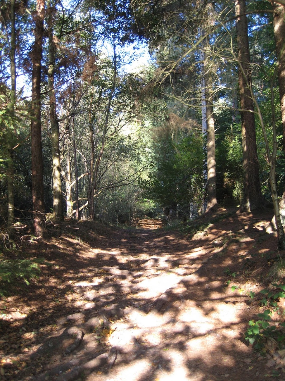 Abergavenny Natural Therapy Centre