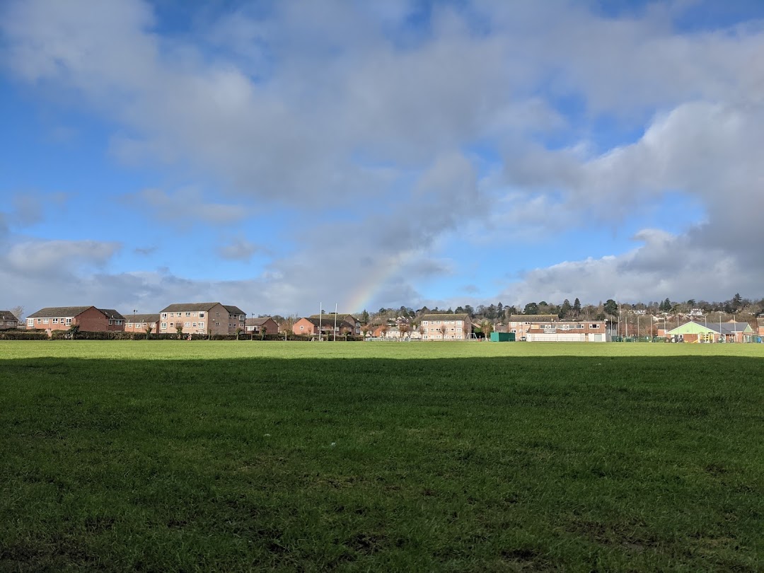 Wimborne Rugby Club